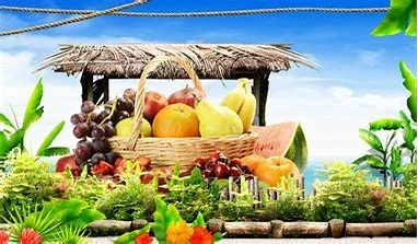 新鲜水果 Fresh Fruit